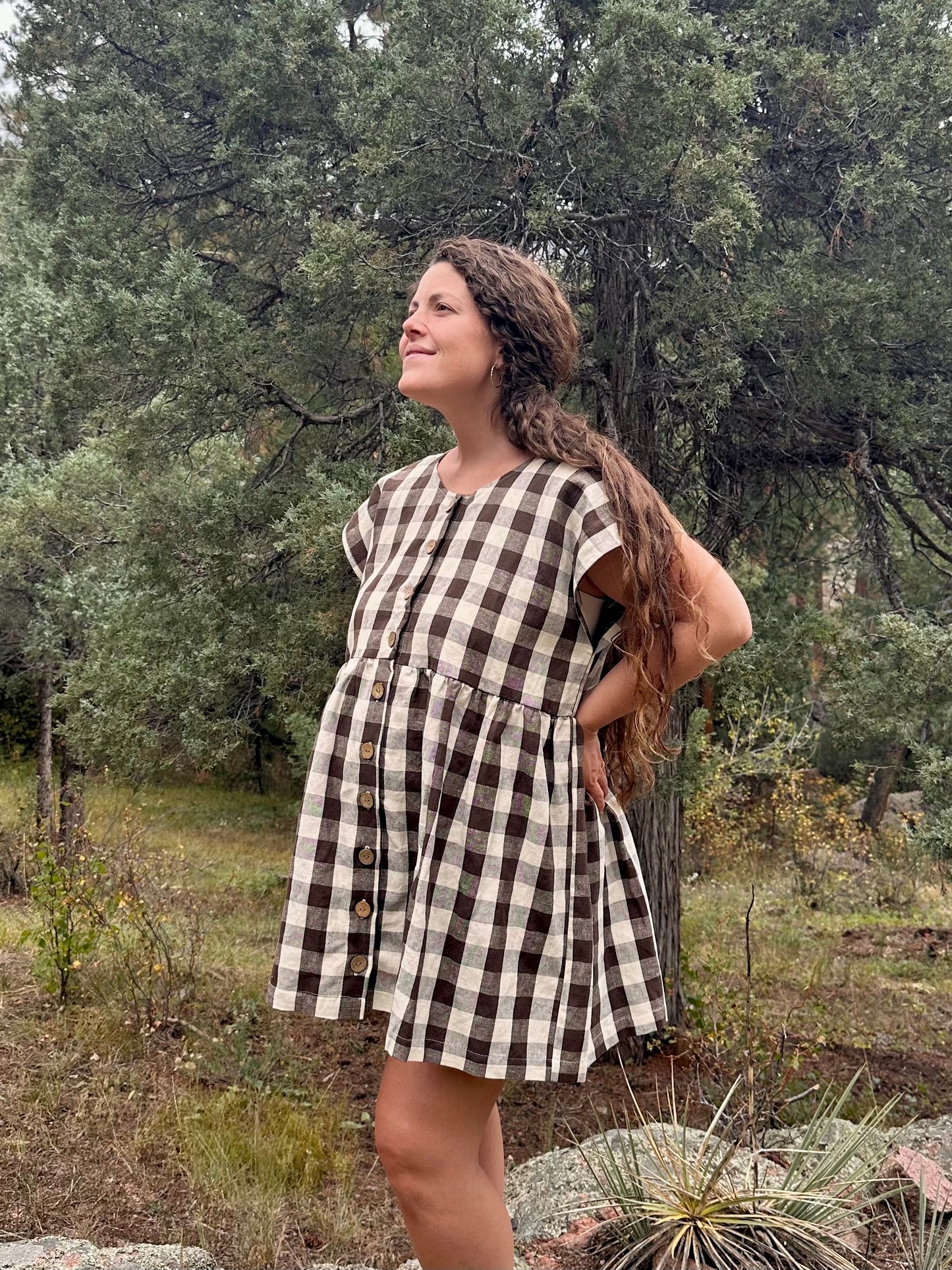 The Original Dress, Brown Gingham