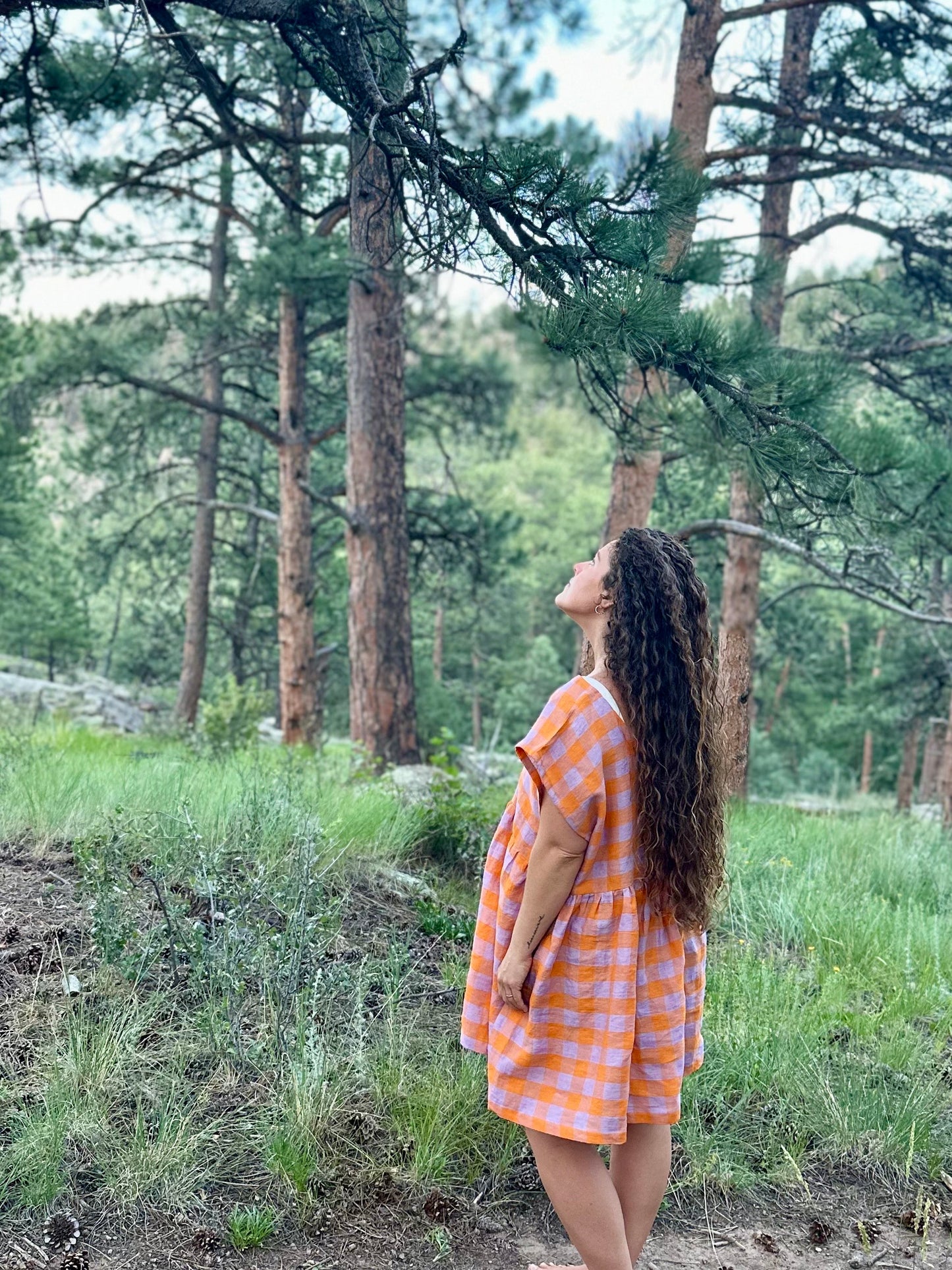 The Original Dress, Popsicle