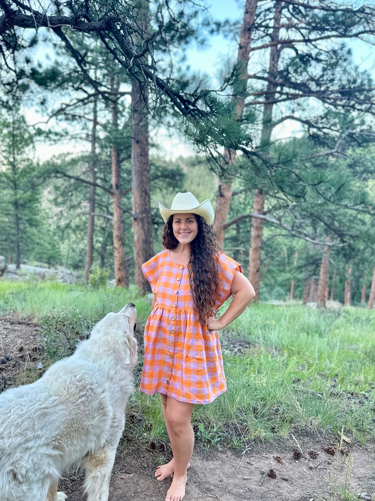 The Original Dress, Popsicle