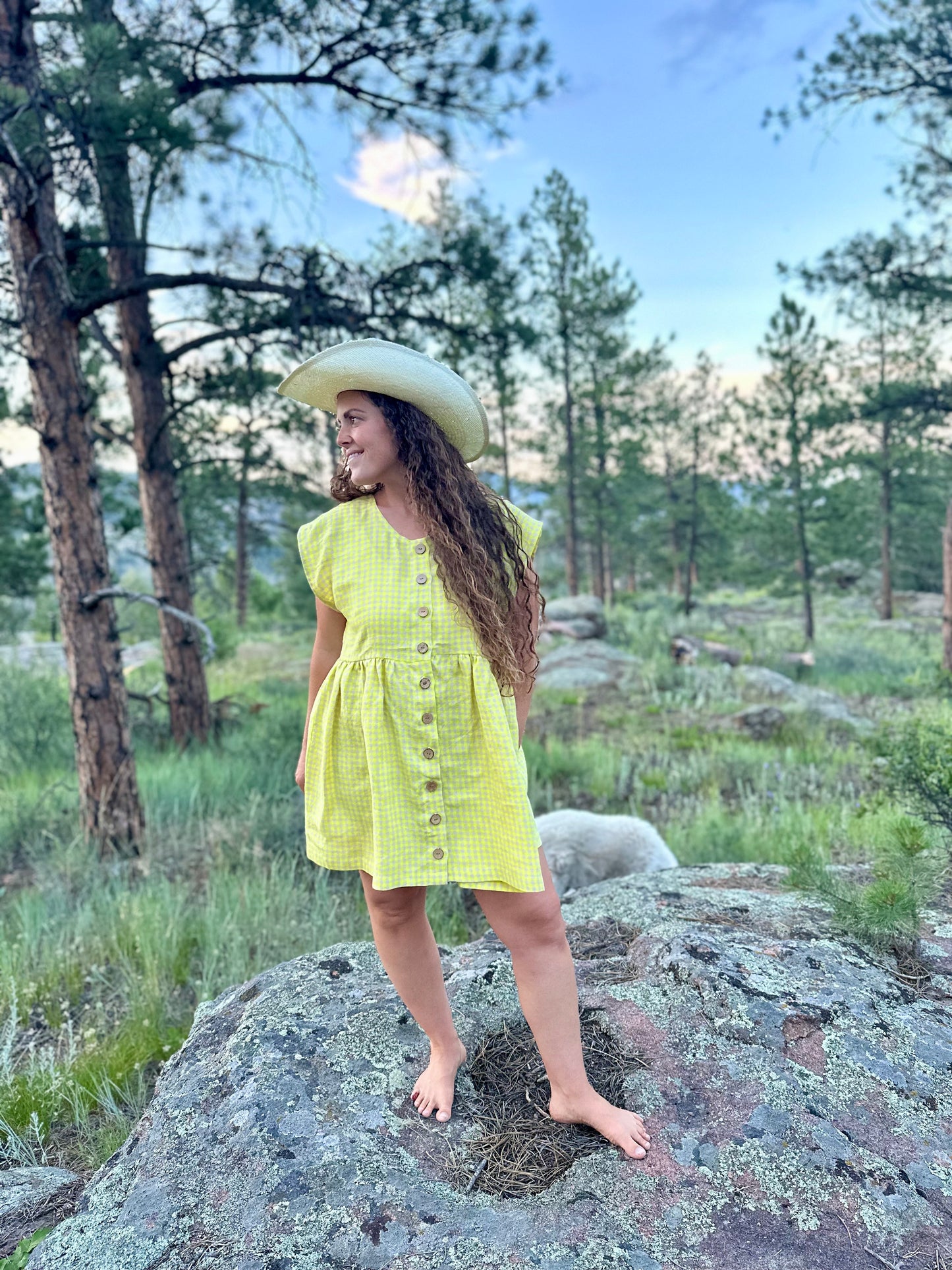 The Original Dress, Lemonade